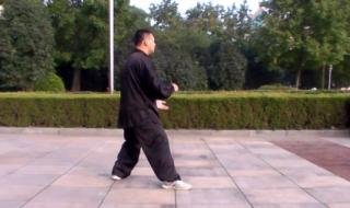 85式太极拳 85式太极拳