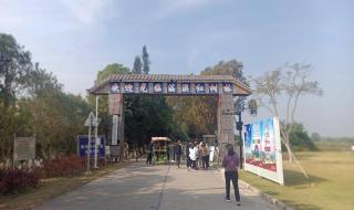 淇澳岛可以开车进去吗 珠海淇澳岛好玩吗