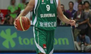 斯洛文尼亚通用语言 斯洛文尼亚托比资料